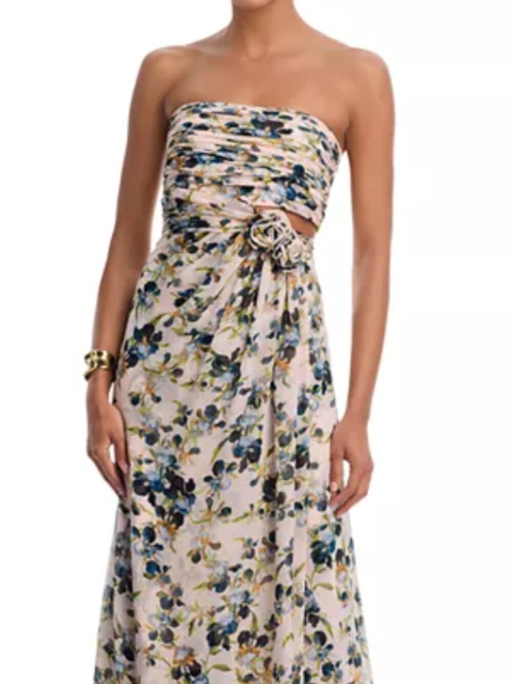 Cinq à Sept Magy Trailing Iris Floral Gown Rosy Cloud Worn Once Sz 8 Retail $695